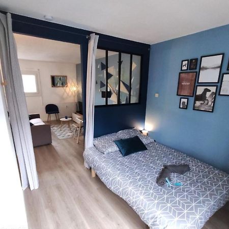 L'Eglantine - Proche Centre - Free Parking - Airbus Apartment Toulouse Exterior photo